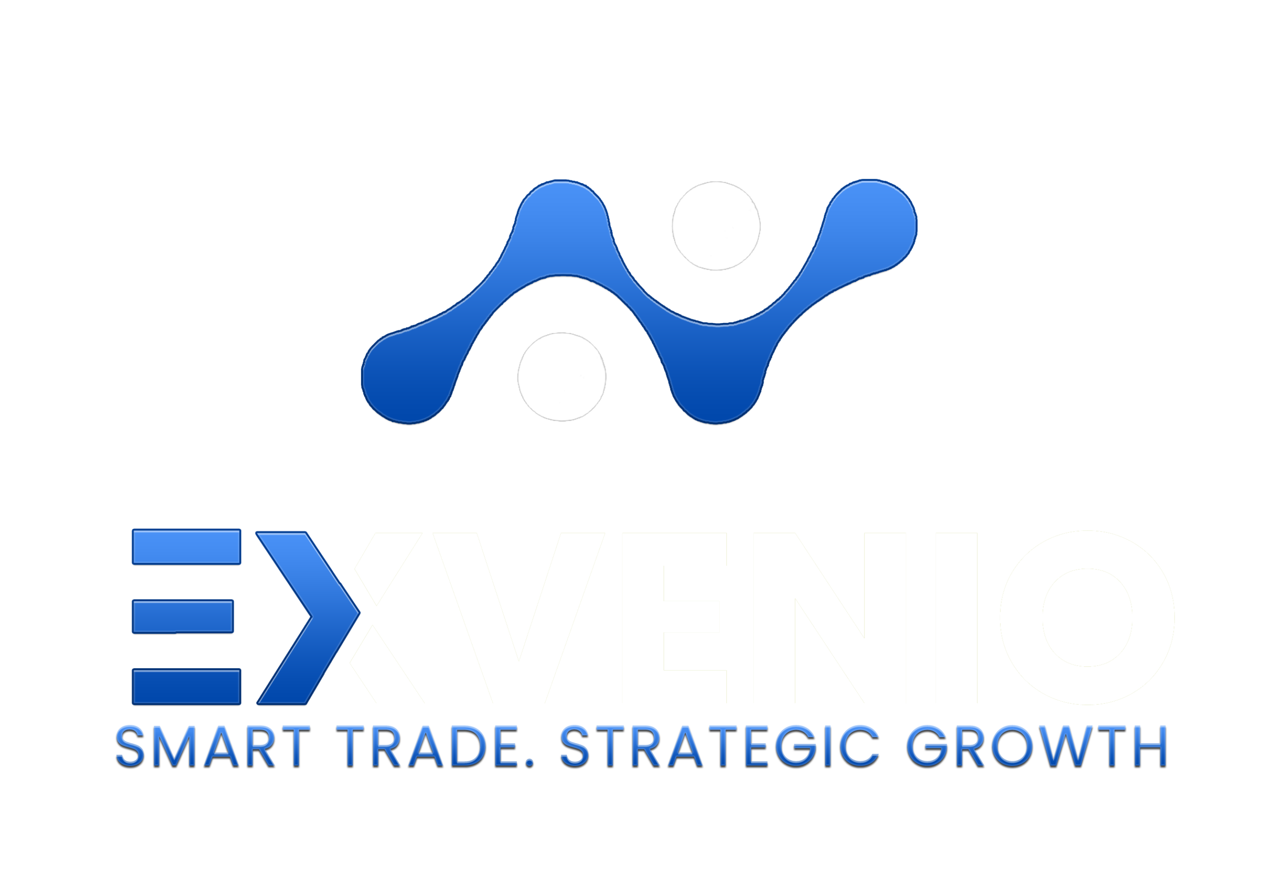 exvenio-group.om